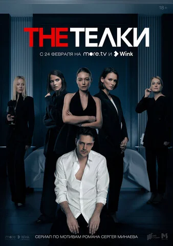 The Телки - постер сериала